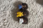 sylvanian
