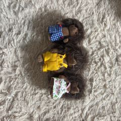 sylvanian