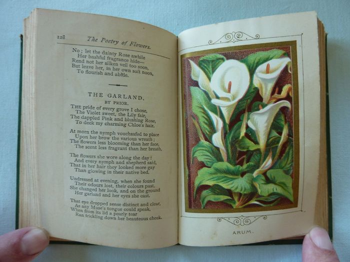 The Language and Poetry of Flowers (book)