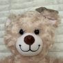 Build-a-Bear Workshop Happy Hugs IV Teddy Bear Plush Stuffed Animal approx. 17" Please see photos Image 2