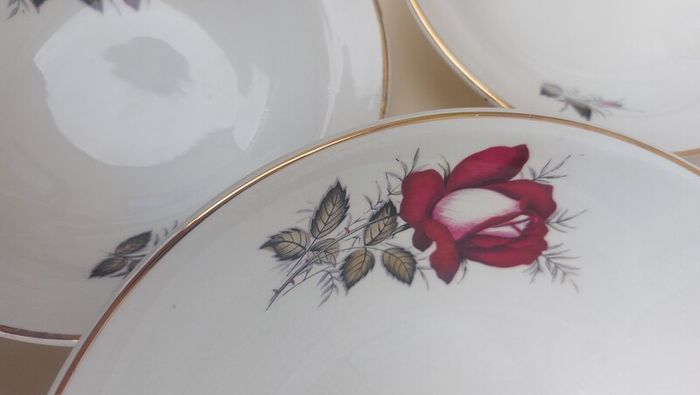 Beautiful Set of Six Dessert Bowls plus Matching Large Bowl by Arklow Pottery in the Very Popular and Collectable "Autumn Rose" Pattern