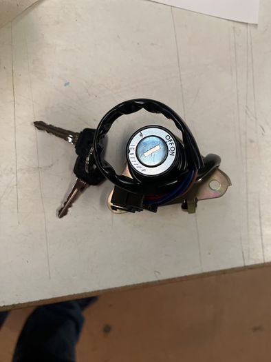 Xv250