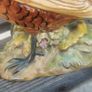 beswick pheasants Image 5