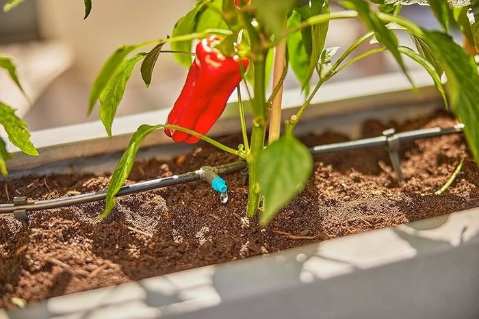 Micro-Drip-System Drip Irrigation Set Terrace (30 plants): Starter set, ready to use, water-saving irrigation system, simple & flexible connection technology (13400-20)