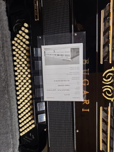 New Bugari 288 gold plus 120 Bass accordion