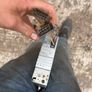 2 single din radio Image 5