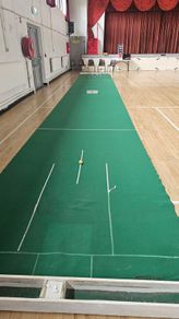bowling mats (2)