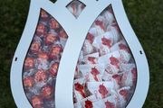 Elegant Tulip Flower Gift Box - Lindor &amp; Raffaello