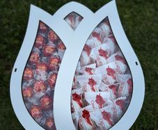 Elegant Tulip Flower Gift Box - Lindor & Raffaello