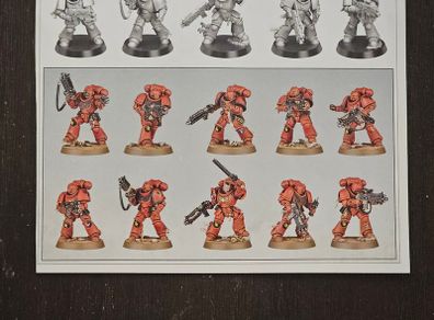 Warhammer 40k Armageddon Intercessor Squad