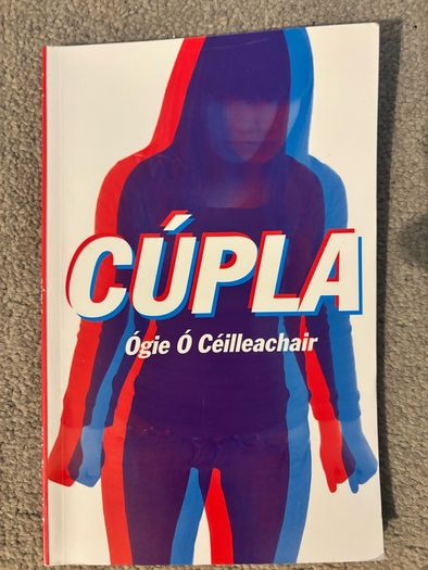 Selection of junior cert books