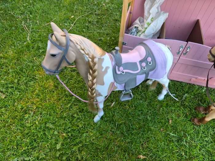 Our generation horse stable and horses