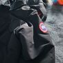 Canada goose Image 4