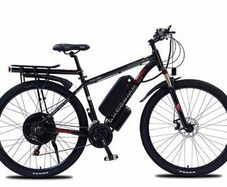 AKEZ 29 Inch 1000W Electric Cruiser Bike