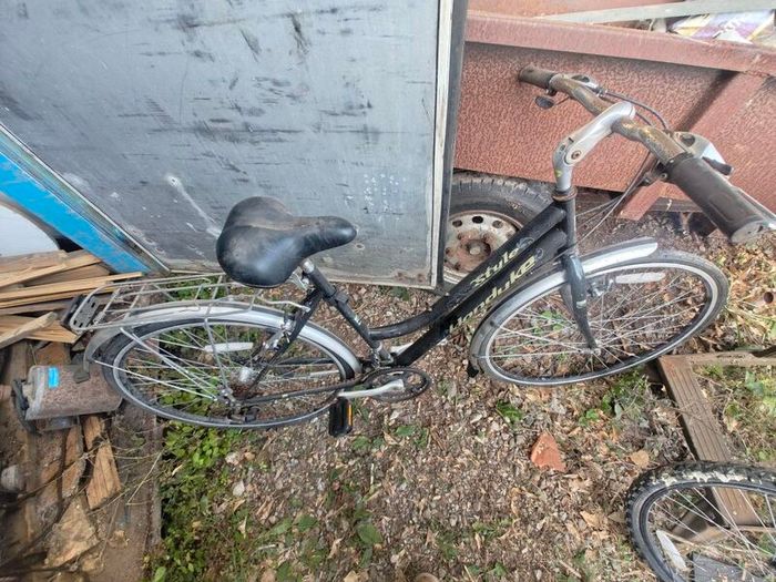 boys and ladies bike