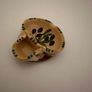 Olive Dish Image 2