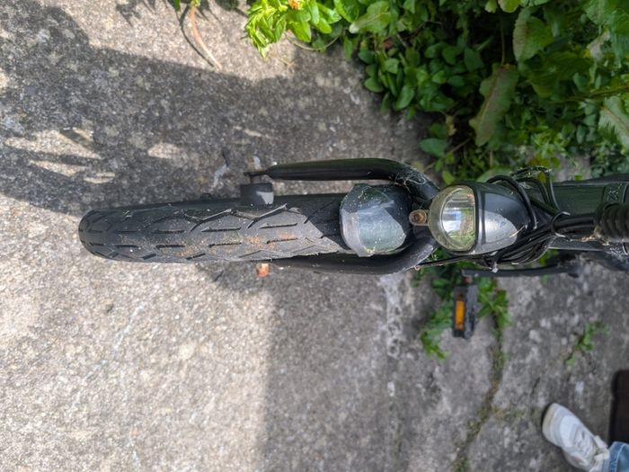 Fiido D2S Ebike