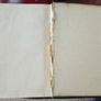Rare Irish Free State Official Handbook 1932 Image 10