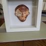 Ceramic artwork Image 6