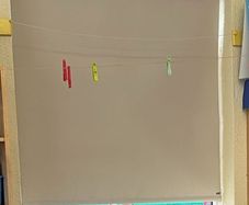 Window Blinds