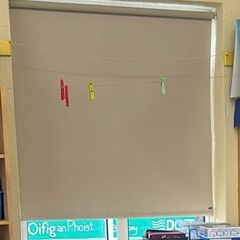 Window Blinds