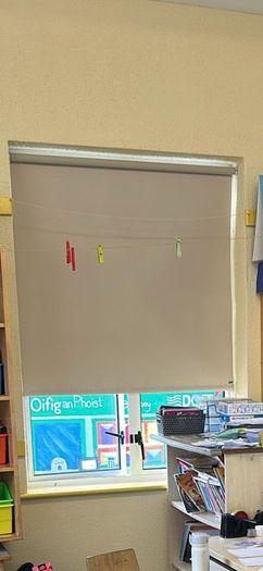 Window Blinds