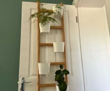 Plant stand