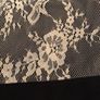 Lace /Navy Dress BNWT Image 5