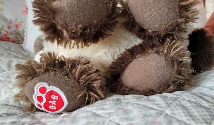 Build a bear cat
