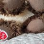 Build a bear cat Image 4
