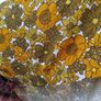 1970s curtain, vintage curtain, Retro floral curtain Image 5