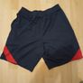 Authentic Barcelona Shorts x Nike Image 9