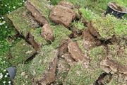 Top soil with grass