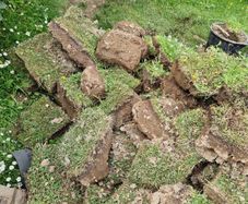 Top soil with grass