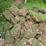 Top soil with grass Image 3