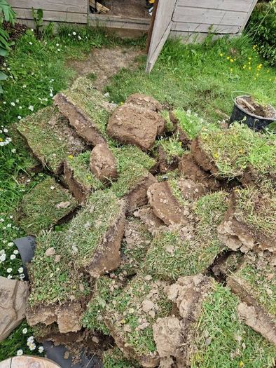 Top soil with grass