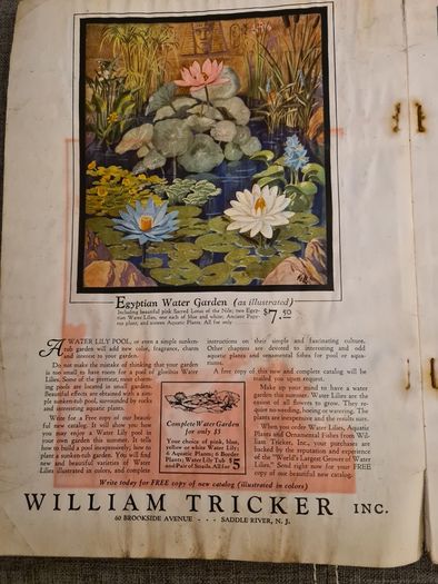Rare Vintage.  1929. April Edition.  Volume 13 No4 Magazine.