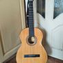 Alvaro N 800E Spanish Classical Guitar with Fishman Pickup Image 4