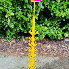 Shop Retail Display Stand Flags - Lollipops - Flowers