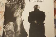 The Diviner: The Art Of Brian Friel by Richard Pine