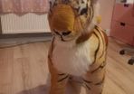 ponycycle tiger