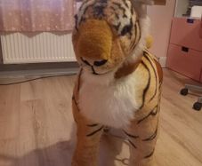 ponycycle tiger
