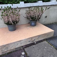 Heavy duty Wooden platform