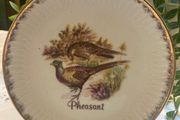 Collector plate
