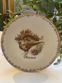 Collector plate