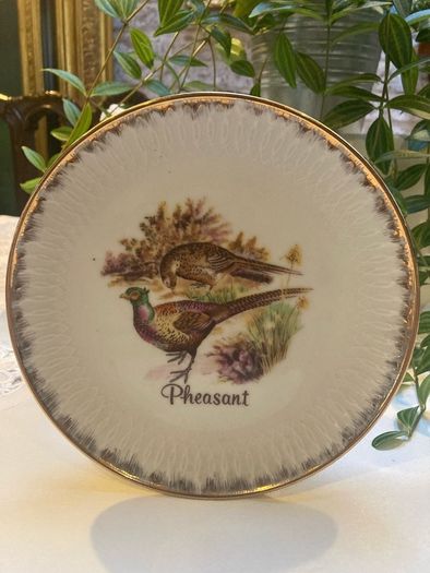 Collector plate