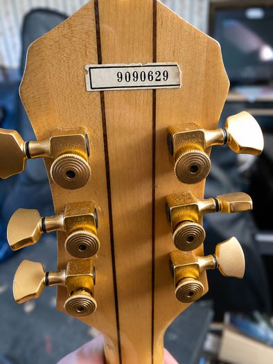 1989 Epiphone Sheraton II MIK | David Kitt Owned/Modified | Used on Debut Album