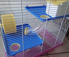 Hamster cage