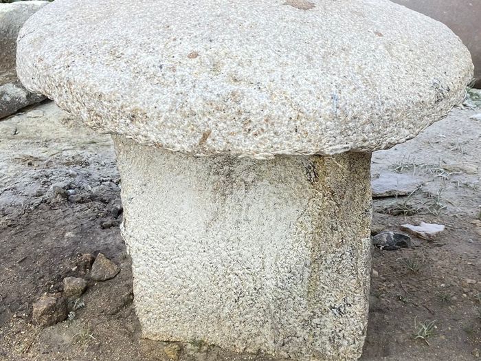 granite mushrooms