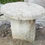 granite mushrooms Image 9